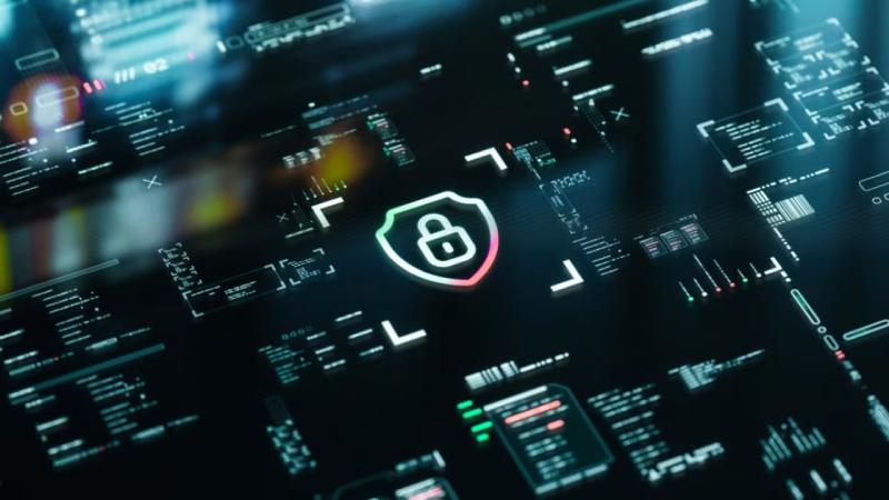 阳西县软件开发公司